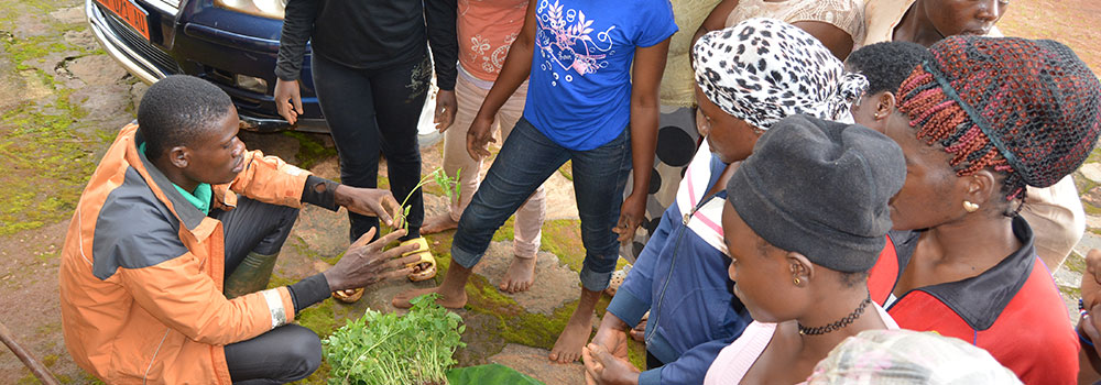 We educate youths on the adverse effects of climate changes, global warming and environmental damage and pollution